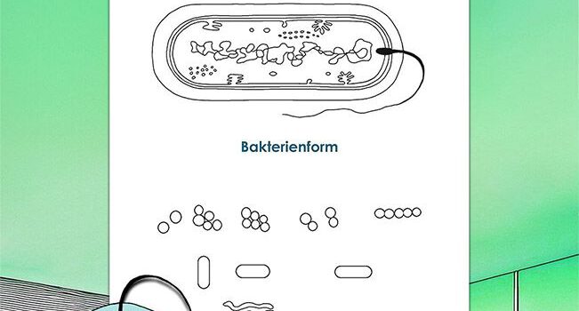 Ausmalbild Bakterie Ausmalbild Bakterie