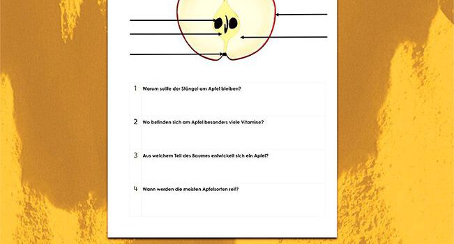 Beschrifte den Apfel Beschrifte den Apfel Kostenloses Arbeitsblatt