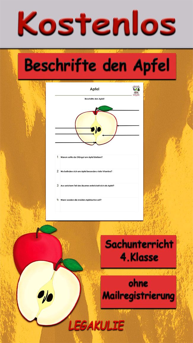 Beschrifte den Apfel Kostenloses Arbeitsblatt