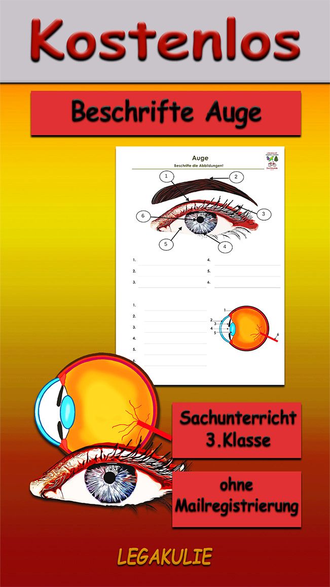 Beschrifte Auge