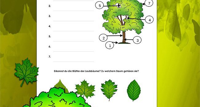 Beschrifte Bäume Beschrifte Bäume