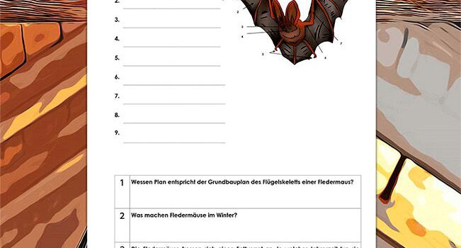 Beschrifte Fledermaus