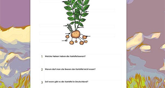 Beschrifte Kartoffel