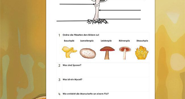 Beschrifte Pilz