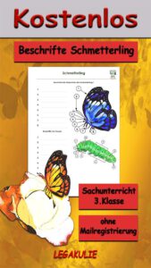 Beschrifte Schmetterling