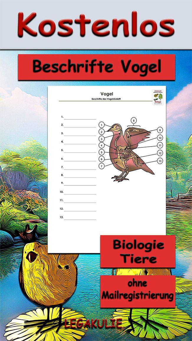 Beschrifte-Vogel-Legakulie