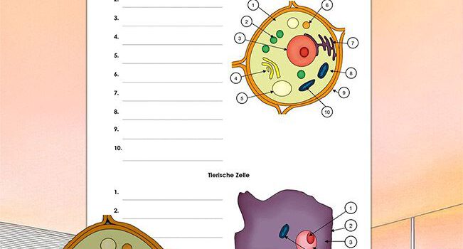 Beschrifte Zellen Beschrifte Zellen