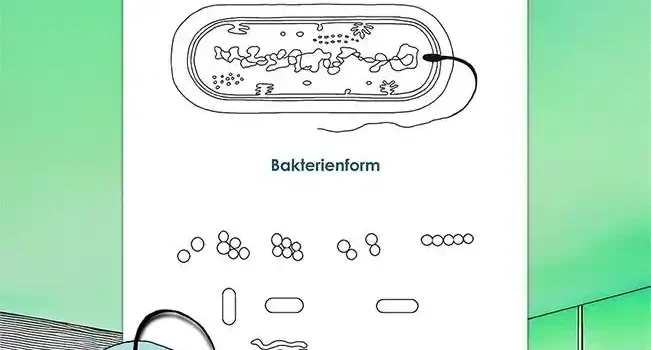 Ausmalbild Bakterie Ausmalbild Bakterie Biologie - Kostenloses Unterrichtsmaterial von Legakulie.info