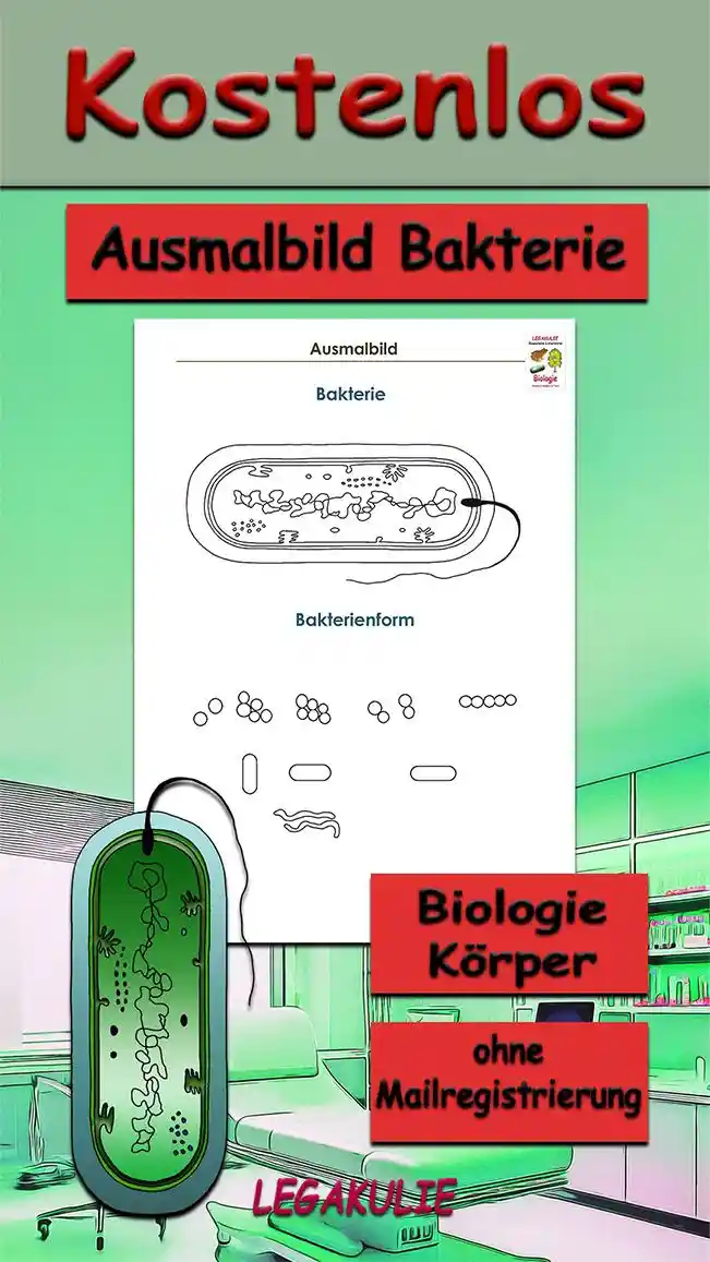 Ausmalbild Bakterie Biologie - Kostenloses Unterrichtsmaterial von Legakulie.info