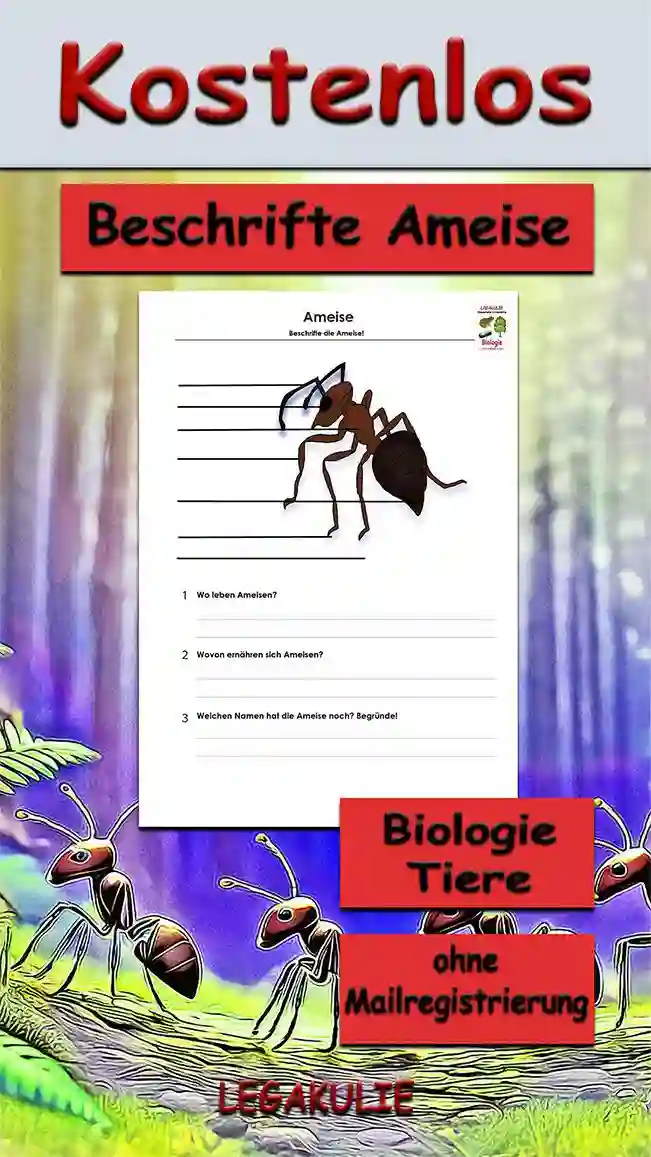 Arbeitsblatt Beschrifte Ameise - Kostenloses Unterrichtsmaterial von Legakulie.info