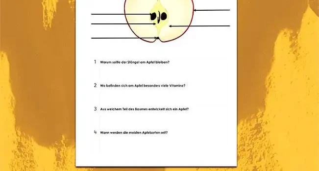 Beschrifte Apfel Sachunterricht - Kostenloses Unterrichtsmaterial von Legakulie.info