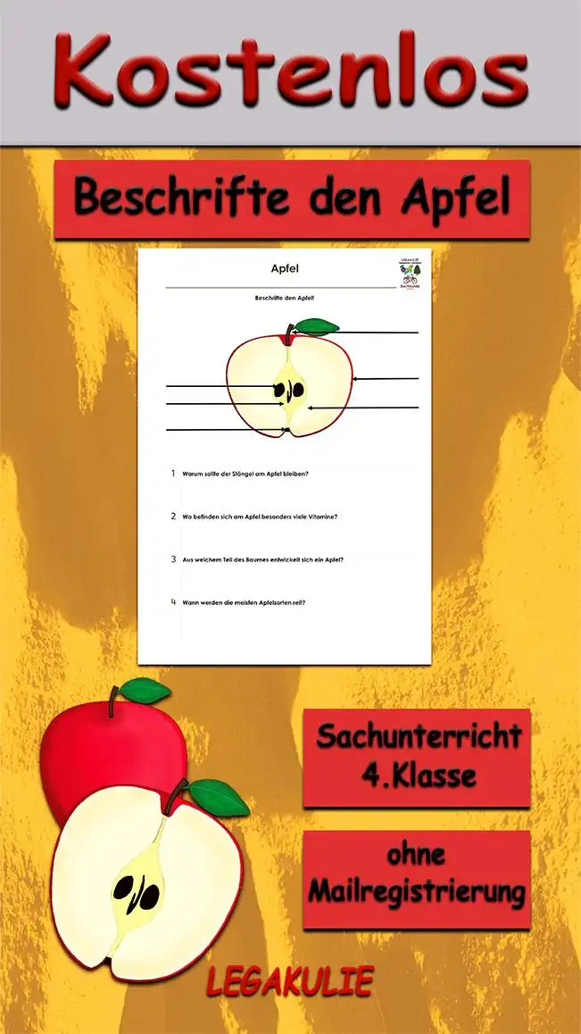 Beschrifte Apfel Sachunterricht - Kostenloses Unterrichtsmaterial von Legakulie.info