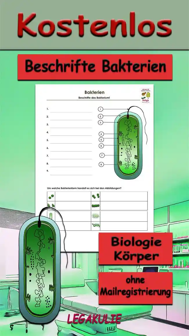 Beschrifte Bakterien Biologie - Kostenloses Unterrichtsmaterial von Legakulie.info
