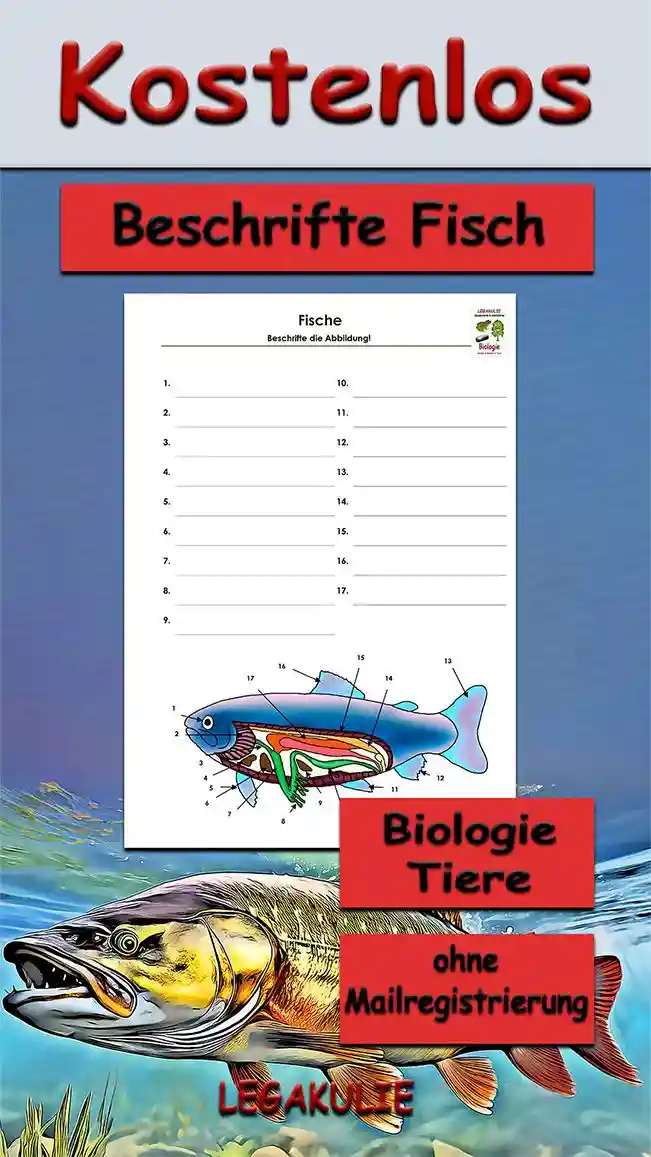 Arbeitsblatt Beschrifte Fisch - Kostenloses Unterrichtsmaterial von Legakulie.info