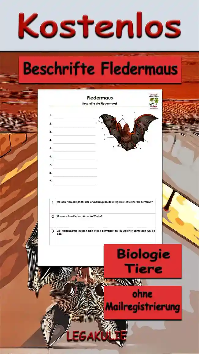 Arbeitsblatt Beschrifte Fledermaus - Kostenloses Unterrichtsmaterial von Legakulie.info