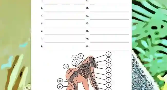 Arbeitsblatt Beschrifte Gorilla - Kostenloses Unterrichtsmaterial von Legakulie.info