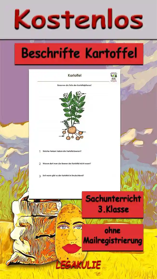 Arbeitsblatt Beschrifte Kartoffel - Kostenloses Unterrichtsmaterial von Legakulie.info