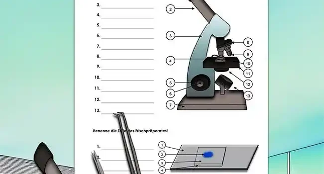 Beschrifte Mikroskop Beschrifte Mikroskop Biologie - Kostenloses Unterrichtsmaterial von Legakulie.info