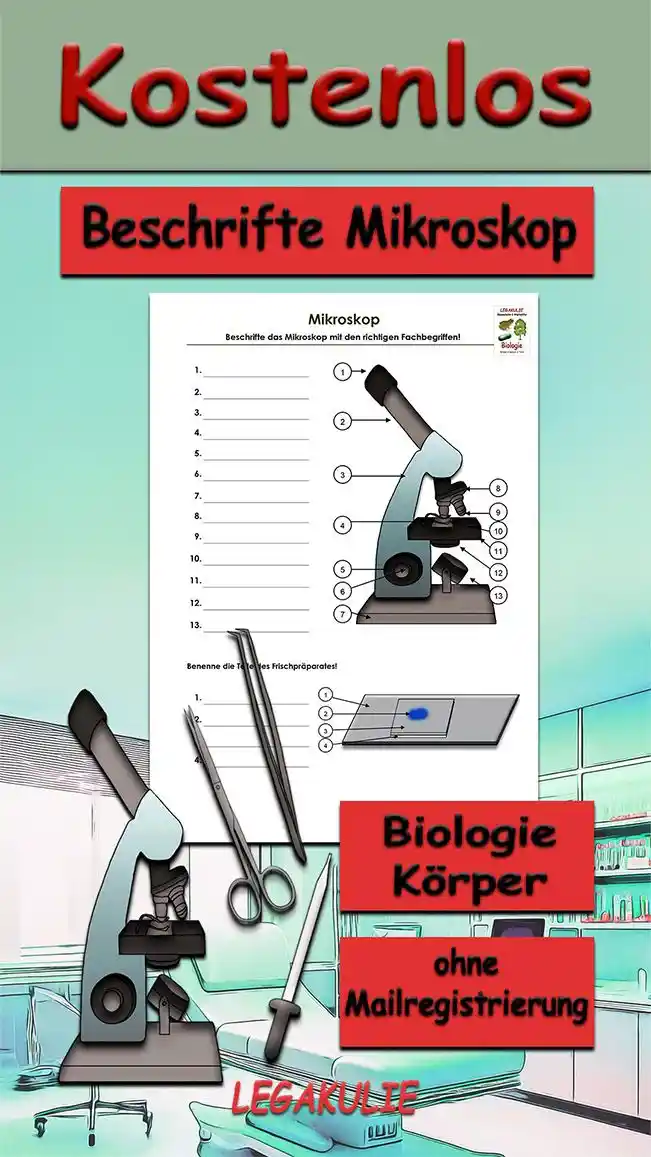 Beschrifte Mikroskop Biologie - Kostenloses Unterrichtsmaterial von Legakulie.info