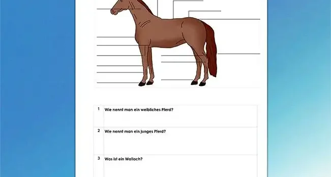 Beschrifte Pferd: Kostenloses Arbeitsblatt für die Schule von Legakulie.info