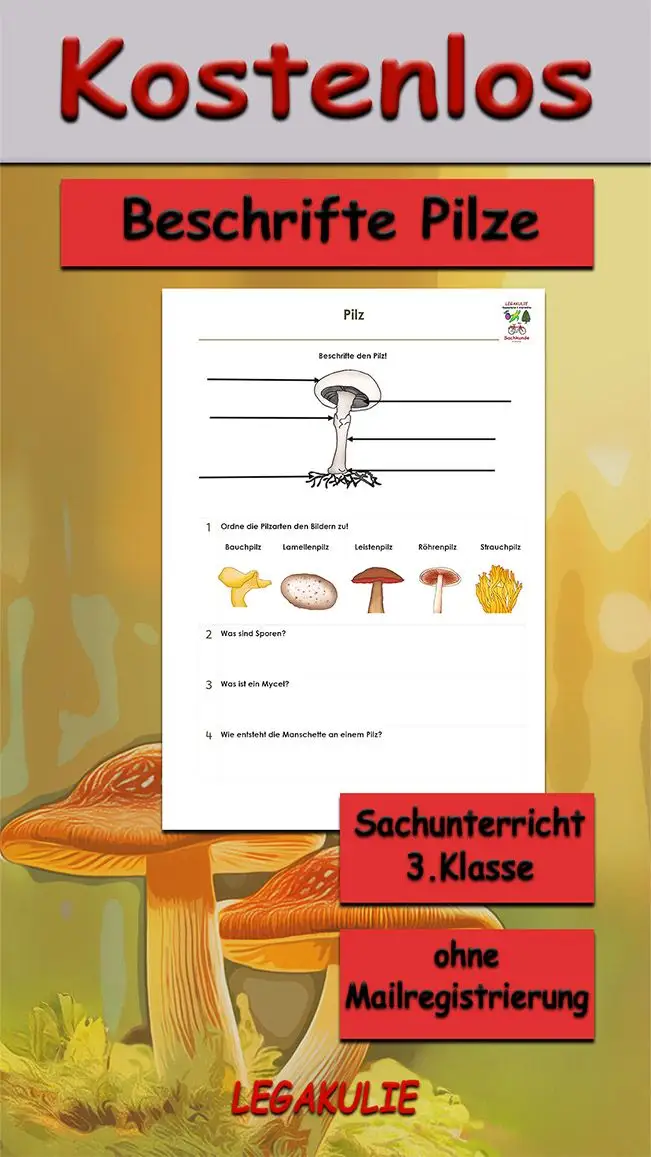 Arbeitsblatt Beschrifte Pilz - Kostenloses Unterrichtsmaterial von Legakulie.info