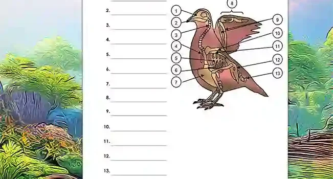 Beschrifte Vogel Arbeitsblatt Beschrifte Vogel - Kostenloses Unterrichtsmaterial von Legakulie.info