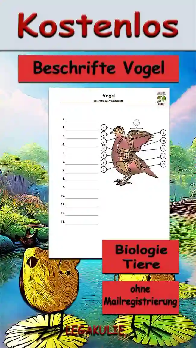 Arbeitsblatt Beschrifte Vogel - Kostenloses Unterrichtsmaterial von Legakulie.info