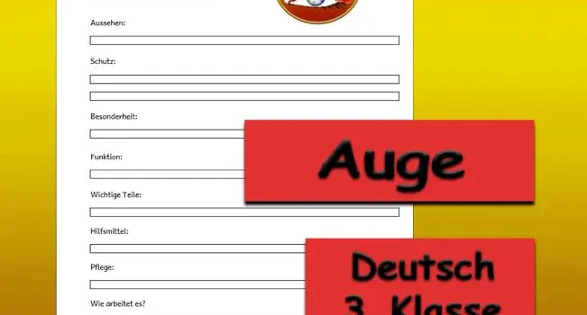 Steckbrief Auge Deutsch - Kostenlos von Legakulie.info