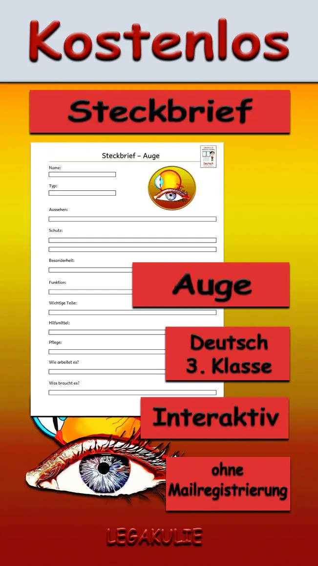 Steckbrief Auge Deutsch - Kostenlos von Legakulie.info