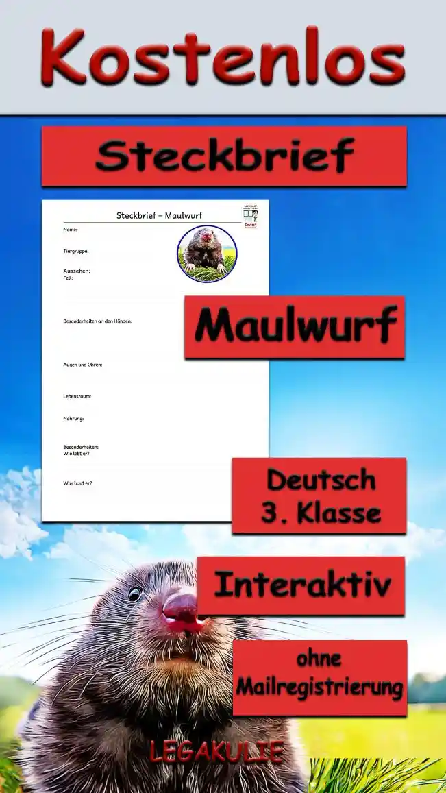 Steckbrief Maulwurf Deutsch - Kostenloses Unterrichtsmaterial von Legakulie.info