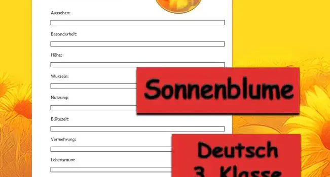 Steckbrief Sonnenblume Deutsch - Kostenlos von Legakulie.info [STECKBRIEF] | Name: Die Sonnenblume | Typ: Einjährige Korbblütler-Pflanze | Aussehen: Hoher, robuster und behaarter Stängel mit einer riesigen gelben Blüte in Form von einem Blütenkorb | Besonderheit: Die Blüte dreht sich im Tagesverlauf immer mit dem Gesicht zur Sonne, was man als Heliotropismus bezeichnet | Höhe: Die Pflanze kann in einer einzigen Saison bis zu 3 oder 4 Meter hoch wachsen | Wurzeln: Besitzt eine tiefe, kräftige Pfahlwurzel zur optimalen Wasserversorgung aus dem Boden | Nutzung: Produktion von nahrhaften Sonnenblumenkernen zum Essen, Gewinnung von Öl zum Kochen sowie Nutzung als Vogelfutter | Blütezeit: Die farbenfrohe Pracht erstreckt sich von Juli bis September | Vermehrung: Aus den reifen Kernen im Blütenkorb wachsen im nächsten Jahr wieder völlig neue Blumen heran | Lebensraum: Weite Felder und sonnige Gärten mit Zugang zu viel direktem Sonnenlicht | Wie wächst sie: Entwickelt sich in Rekordzeit von einem winzigen kleinen Kern zu einer echten Riesenschönheit im Beet | Was bewirkt sie: Sie sorgt zuverlässig dafür, dass Insekten reichlich Nahrung finden und Vögel im harten Winter energiereiche Kerne haben
