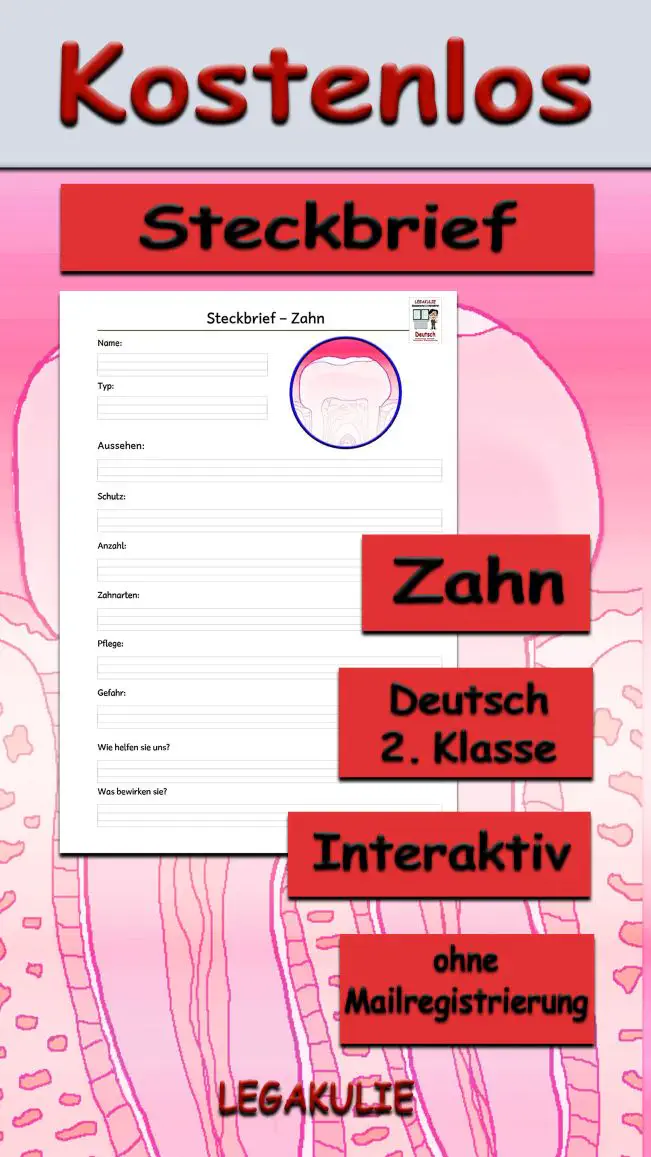 Steckbrief Zahn Deutsch - Kostenlos von Legakulie.info