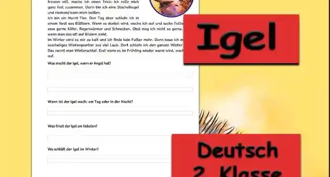 Textverständnis Igel Deutsch - Kostenloses Unterrichtsmaterial von Legakulie.info