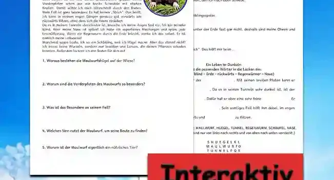 Textverständnis Maulwurf Deutsch - Kostenloses Unterrichtsmaterial von Legakulie.info