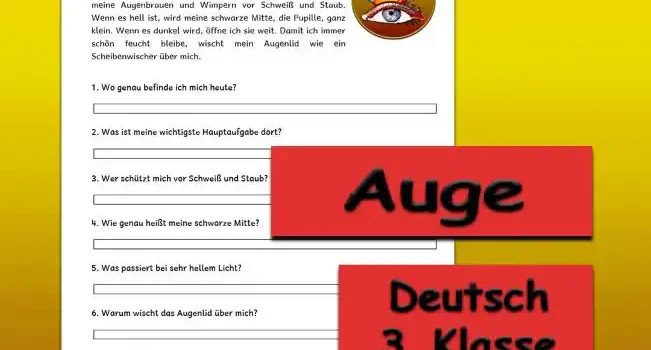 Textverständnis Auge 3.Klasse Deutsch - Kostenlos von Legakulie.info