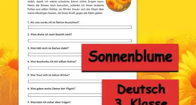 Textverständnis Sonnenblume 3.Klasse Deutsch - Kostenlos von Legakulie.info [SACHTEXT] | Sonnenblume | Ich bin die Riesin im Garten und drehe mein großes, gelbes Gesicht immer der Sonne nach. Mein kräftiger Stängel hält mich stabil, damit ich meine schweren Kerne sicher tragen kann. Wenn die Bienen mich besuchen, schenke ich ihnen leckeren Pollen und süßen Nektar. Im Winter freuen sich die Vögel über meine ölhaltigen Samen, die ihnen Kraft gegen die Kälte geben. || [FRAGEN UND LÖSUNGEN] | 1. Als was werde ich im Garten bezeichnet? | Lösung: Ich werde als eine Riesin bezeichnet. | 2. Wem drehe ich mein Gesicht nach? | Lösung: Ich drehe mein großes, gelbes Gesicht immer der Sonne nach. | 3. Was hält mich im Garten stabil? | Lösung: Mein kräftiger Stängel hält mich stabil. | 4. Wen beschenke ich mit süßem Nektar? | Lösung: Ich beschenke die fleißigen Bienen mit leckerem Pollen und süßem Nektar. | 5. Wer freut sich im kalten Winter? | Lösung: Im Winter freuen sich die Vögel über meine ölhaltigen Samen. | 6. Was geben meine Samen den Vögeln? | Lösung: Die Samen geben den Vögeln Kraft gegen die Kälte. | 7. Was kann ich sicher oben tragen? | Lösung: Ich kann meine schweren Kerne sicher tragen.