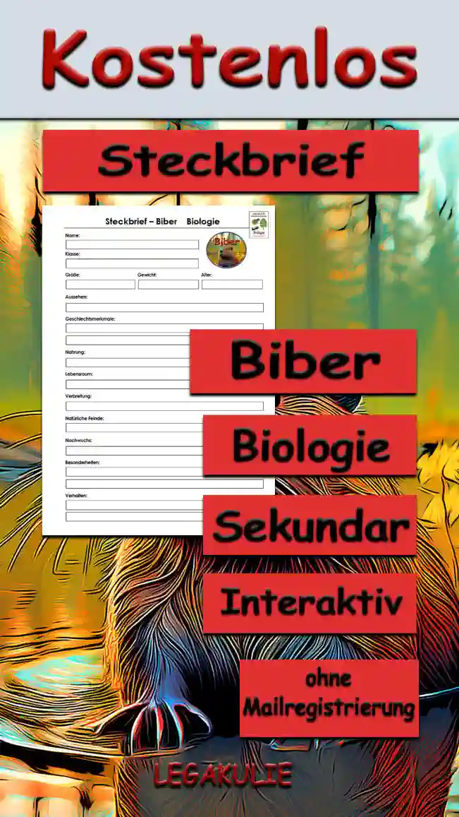 Steckbrief Biber Sekundar Unterrichtsmaterial - Kostenlos von Legakulie.info