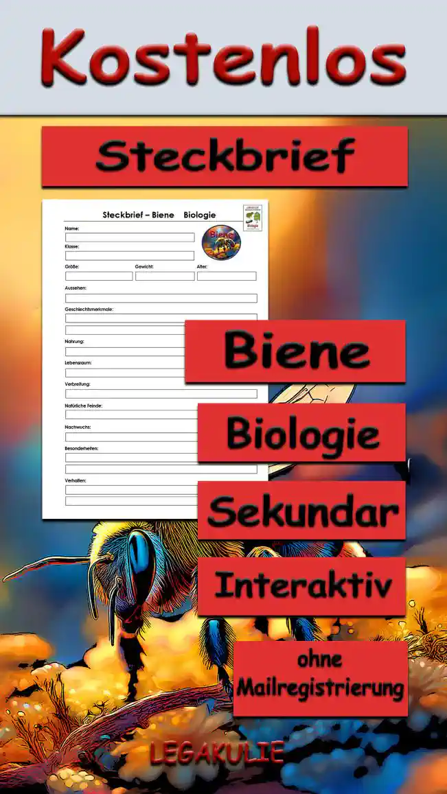 Steckbrief Biene Sekundar Unterrichtsmaterial - Kostenlos von Legakulie.info