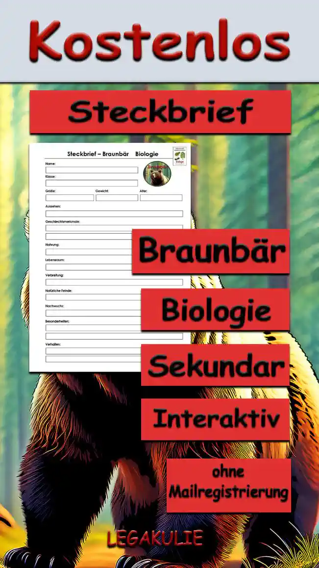 Steckbrief Braunbär Sekundar Unterrichtsmaterial - Kostenlos von Legakulie.info