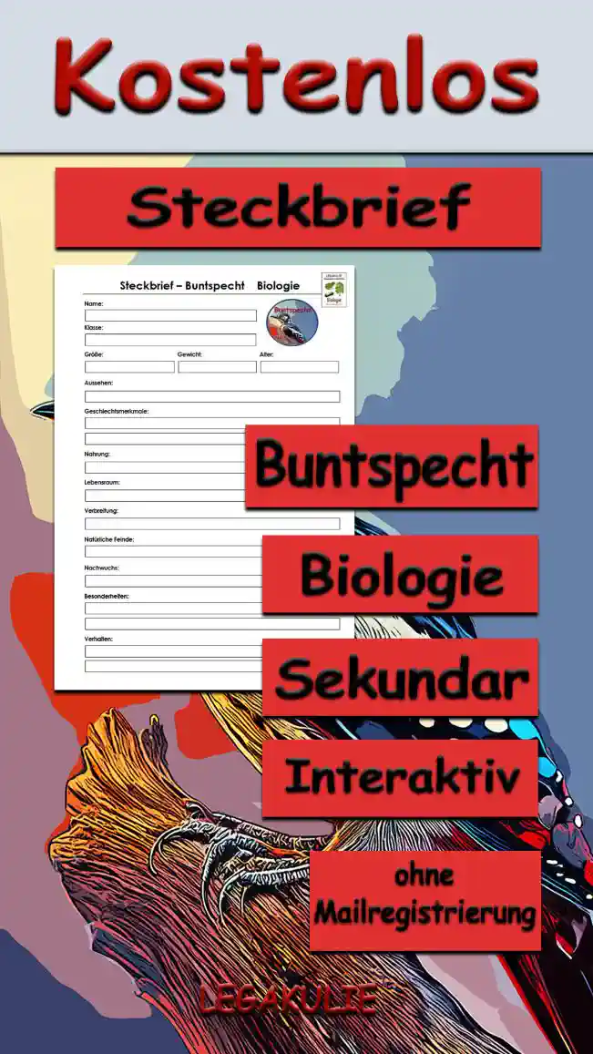 Steckbrief Buntspecht Sekundar Unterrichtsmaterial - Kostenlos von Legakulie.info