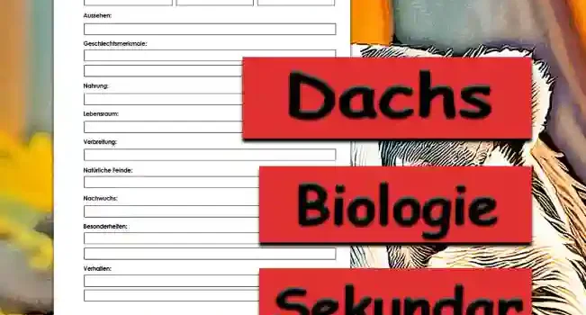 Steckbrief Dachs Sekundar Unterrichtsmaterial - Kostenlos von Legakulie.info