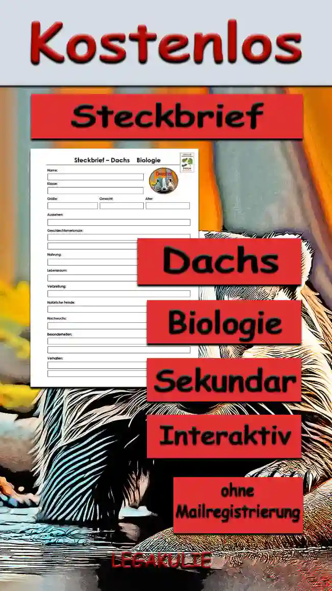Steckbrief Dachs Sekundar Unterrichtsmaterial - Kostenlos von Legakulie.info