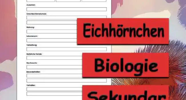 Steckbrief Eichhörnchen Sekundar Unterrichtsmaterial - Kostenlos von Legakulie.info [STECKBRIEF] | Name: Europäisches Eichhörnchen (Wissenschaftlich: Sciurus vulgaris) | Klasse: Säugetiere (Ordnung: Nagetiere; Familie: Hörnchen) | Größe: Kopf-Rumpf-Länge 20 cm bis 25 cm sowie ein buschiger Schwanz von zusätzlich 15 cm bis 20 cm | Gewicht: Circa 200 g bis 450 g mit natürlichen Gewichtsschwankungen je nach Jahreszeit und Nahrungsangebot | Alter: In Freiheit durchschnittlich 3 bis 7 Jahre bei hoher Jungtiersterblichkeit sowie in Gefangenschaft bis zu 10 Jahre | Aussehen: Farbvariable Fellfarbe von Fuchsrot bis Dunkelbraun oder Schwarz, stets kontrastierender reinweißer Bauch, auffällige Haarpinsel an den Ohren im Winterfell sowie lange, feinfühlige Schnurrhaare (Vibrissen) | Geschlechtsmerkmale: Kein äußerer Geschlechtsdimorphismus, wodurch Männchen und Weibchen optisch und anatomisch kaum voneinander zu unterscheiden sind | Nahrung: Überwiegend Pflanzenfresser (Herbivor) mit omnivoren Anteilen wie Nüssen, Eicheln, Zapfensamen von Koniferen, Knospen, Pilzen, Beeren sowie tierischer Beikost durch Insekten, Vogeleier und Nestlinge | Lebensraum: Strukturreiche Nadel-, Laub- und Mischwälder sowie als Kulturfolger sehr häufig in urbanen Parks, Friedhöfen und Gärten mit altem Baumbestand | Verbreitung: Paläarktisch weit verbreitet über ganz Eurasien von Westeuropa bis nach Korea und Japan | Natürliche Feinde: Der Baummarder als Hauptfeind im Baum, Greifvögel wie Habicht und Mäusebussard, Eulen sowie Gefährdung der Jungtiere durch Hauskatzen und Krähen | Nachwuchs: 2–3 Würfe pro Jahr von Frühjahr bis Sommer nach einer Tragzeit von circa 38 Tagen mit einer Wurfgröße von 2–5 nackten und blinden Jungen als Nesthocker im schützenden Kobel | Besonderheiten: Fungiert als Ökosystem-Gärtner (Zoochorie) durch vergessene Wintervorräte sowie eine anatomische Besonderheit durch um 180 Grad drehbare Hinterfüße für das kopfüber Abwärtsklettern | Verhalten: Streng tagaktiver Einzelgänger, exzellenter Kletterer und Weitspringer mit dem Schwanz als Steuerruder, Bau von kugeligen Reisignestern (Kobeln) mit Fluchtausgang sowie Einhaltung einer Winterruhe ohne echten Winterschlaf