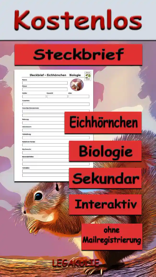 Steckbrief Eichhörnchen Sekundar Unterrichtsmaterial - Kostenlos von Legakulie.info [STECKBRIEF] | Name: Europäisches Eichhörnchen (Wissenschaftlich: Sciurus vulgaris) | Klasse: Säugetiere (Ordnung: Nagetiere; Familie: Hörnchen) | Größe: Kopf-Rumpf-Länge 20 cm bis 25 cm sowie ein buschiger Schwanz von zusätzlich 15 cm bis 20 cm | Gewicht: Circa 200 g bis 450 g mit natürlichen Gewichtsschwankungen je nach Jahreszeit und Nahrungsangebot | Alter: In Freiheit durchschnittlich 3 bis 7 Jahre bei hoher Jungtiersterblichkeit sowie in Gefangenschaft bis zu 10 Jahre | Aussehen: Farbvariable Fellfarbe von Fuchsrot bis Dunkelbraun oder Schwarz, stets kontrastierender reinweißer Bauch, auffällige Haarpinsel an den Ohren im Winterfell sowie lange, feinfühlige Schnurrhaare (Vibrissen) | Geschlechtsmerkmale: Kein äußerer Geschlechtsdimorphismus, wodurch Männchen und Weibchen optisch und anatomisch kaum voneinander zu unterscheiden sind | Nahrung: Überwiegend Pflanzenfresser (Herbivor) mit omnivoren Anteilen wie Nüssen, Eicheln, Zapfensamen von Koniferen, Knospen, Pilzen, Beeren sowie tierischer Beikost durch Insekten, Vogeleier und Nestlinge | Lebensraum: Strukturreiche Nadel-, Laub- und Mischwälder sowie als Kulturfolger sehr häufig in urbanen Parks, Friedhöfen und Gärten mit altem Baumbestand | Verbreitung: Paläarktisch weit verbreitet über ganz Eurasien von Westeuropa bis nach Korea und Japan | Natürliche Feinde: Der Baummarder als Hauptfeind im Baum, Greifvögel wie Habicht und Mäusebussard, Eulen sowie Gefährdung der Jungtiere durch Hauskatzen und Krähen | Nachwuchs: 2–3 Würfe pro Jahr von Frühjahr bis Sommer nach einer Tragzeit von circa 38 Tagen mit einer Wurfgröße von 2–5 nackten und blinden Jungen als Nesthocker im schützenden Kobel | Besonderheiten: Fungiert als Ökosystem-Gärtner (Zoochorie) durch vergessene Wintervorräte sowie eine anatomische Besonderheit durch um 180 Grad drehbare Hinterfüße für das kopfüber Abwärtsklettern | Verhalten: Streng tagaktiver Einzelgänger, exzellenter Kletterer und Weitspringer mit dem Schwanz als Steuerruder, Bau von kugeligen Reisignestern (Kobeln) mit Fluchtausgang sowie Einhaltung einer Winterruhe ohne echten Winterschlaf