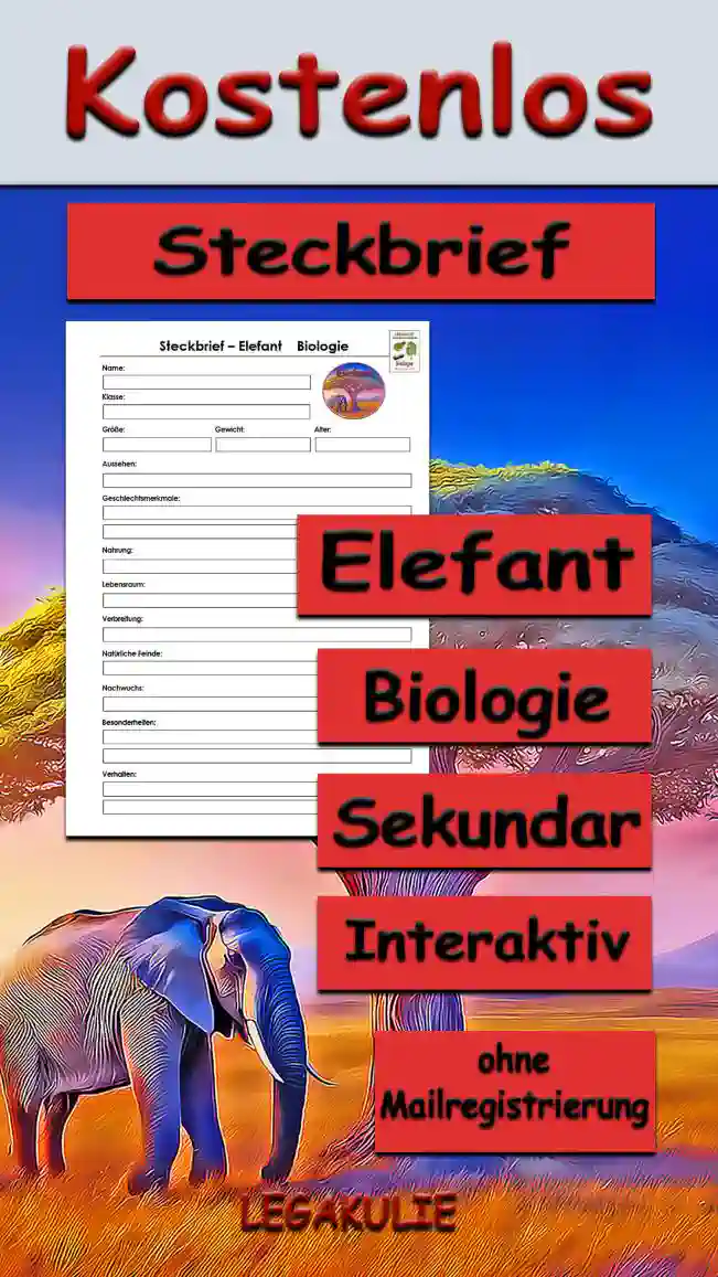 Steckbrief Elefant Sekundar Unterrichtsmaterial - Kostenlos von Legakulie.info