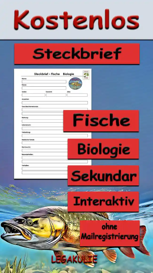 Steckbrief Fische Sekundar Unterrichtsmaterial - Kostenlos von Legakulie.info