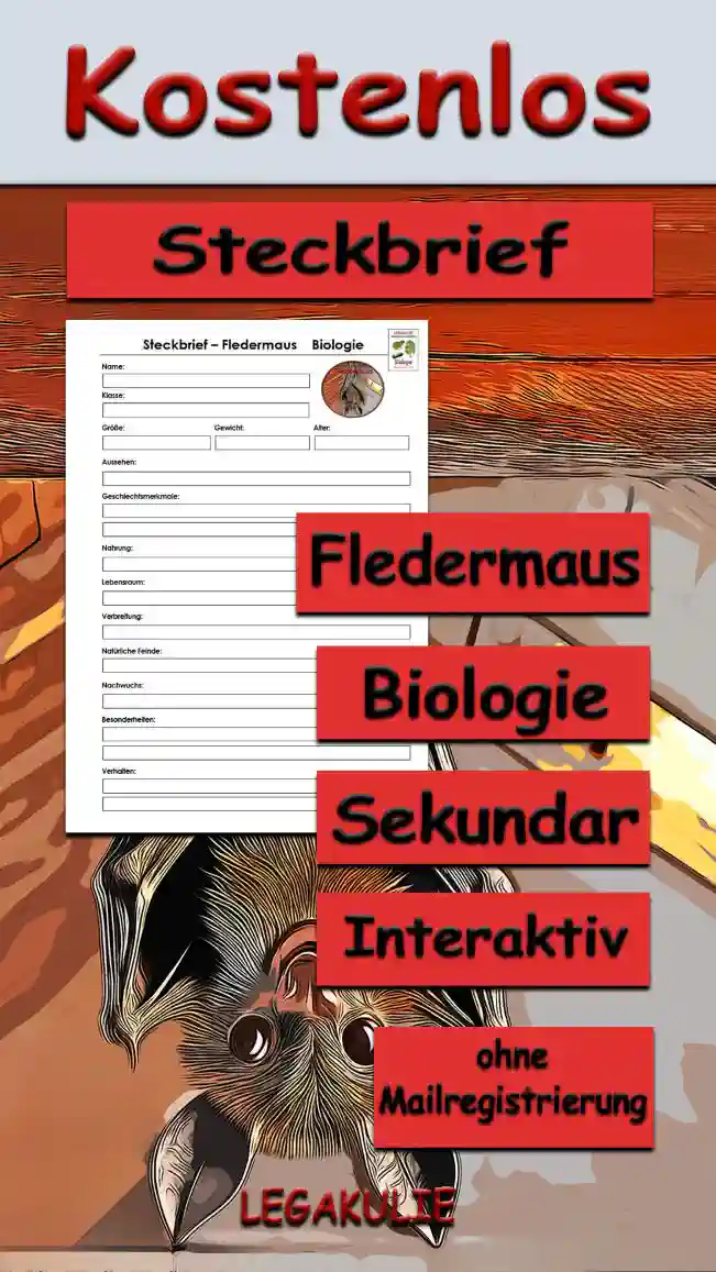 Steckbrief Fledermaus Sekundar Unterrichtsmaterial - Kostenlos von Legakulie.info