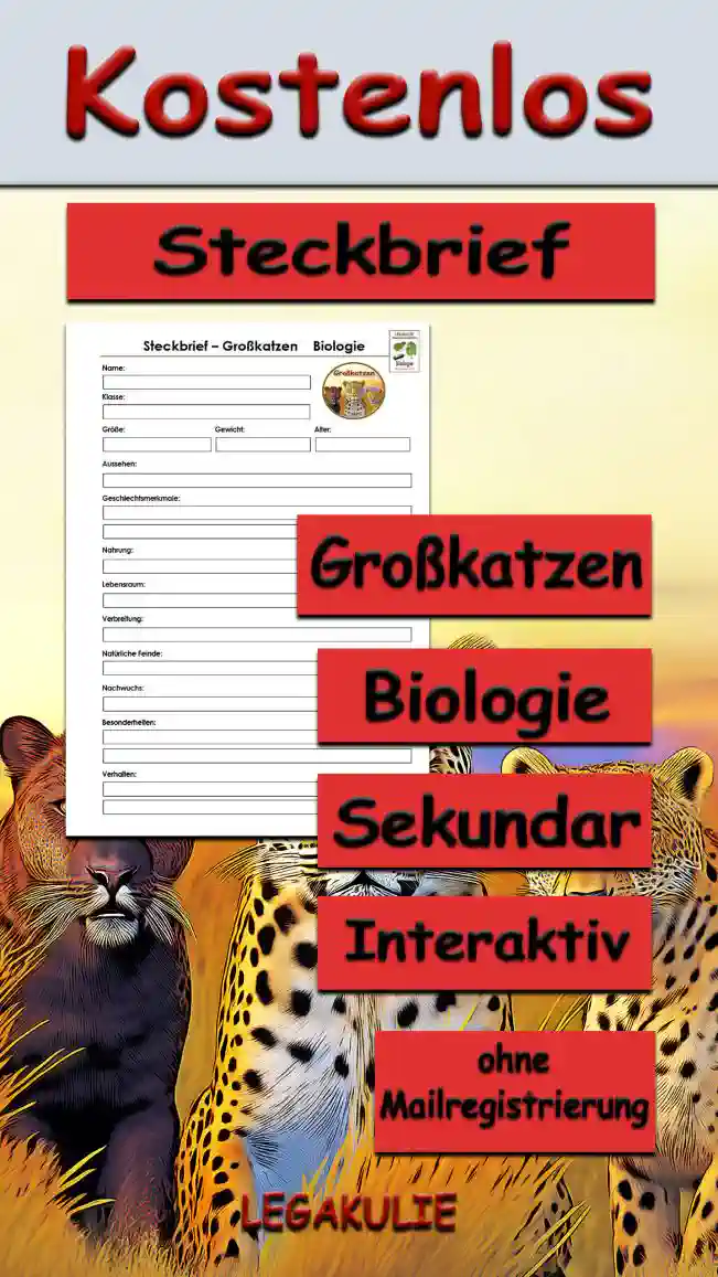 Steckbrief Großkatzen Sekundar Unterrichtsmaterial - Kostenlos von Legakulie.info