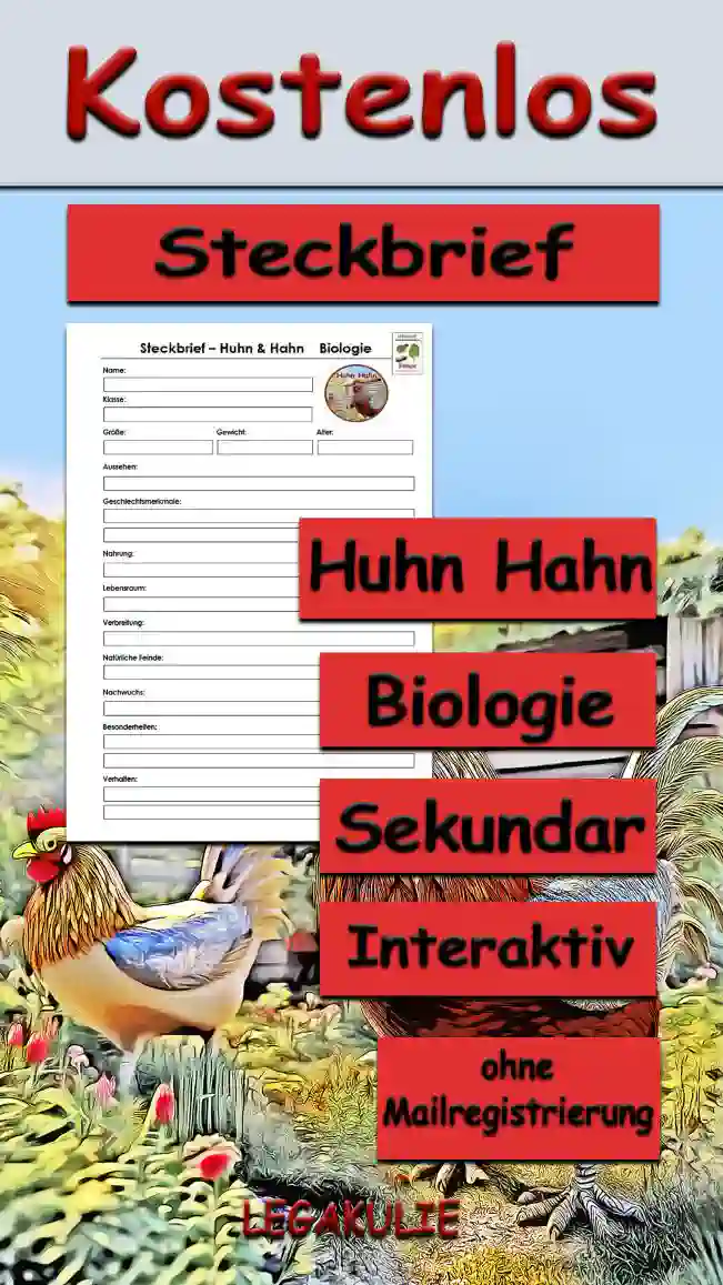 Steckbrief Huhn Hahn Sekundar Unterrichtsmaterial - Kostenlos von Legakulie.info
