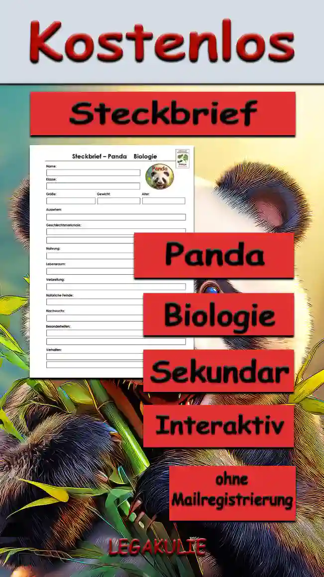 Steckbrief Panda Sekundar Unterrichtsmaterial - Kostenlos von Legakulie.info